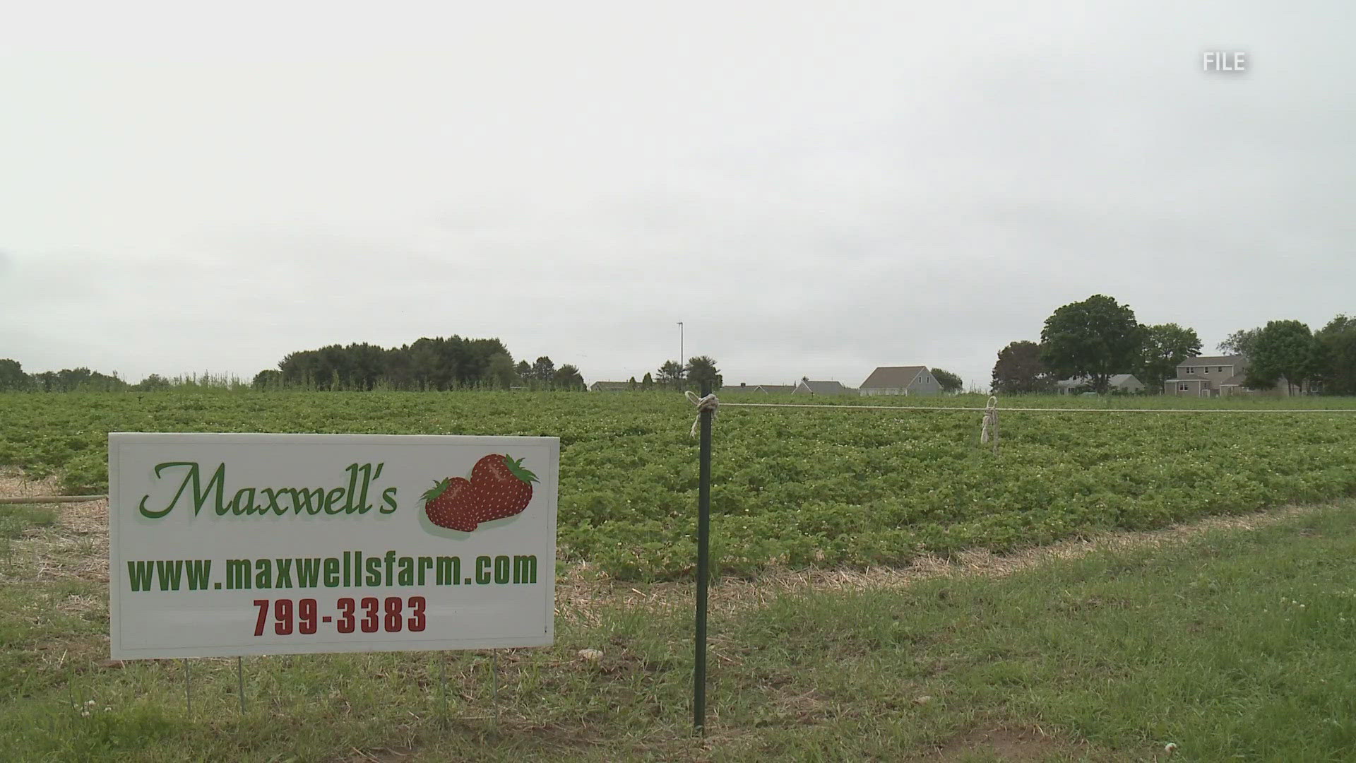 The popular pick-your-own strawberry spot made the announcement on Sunday.