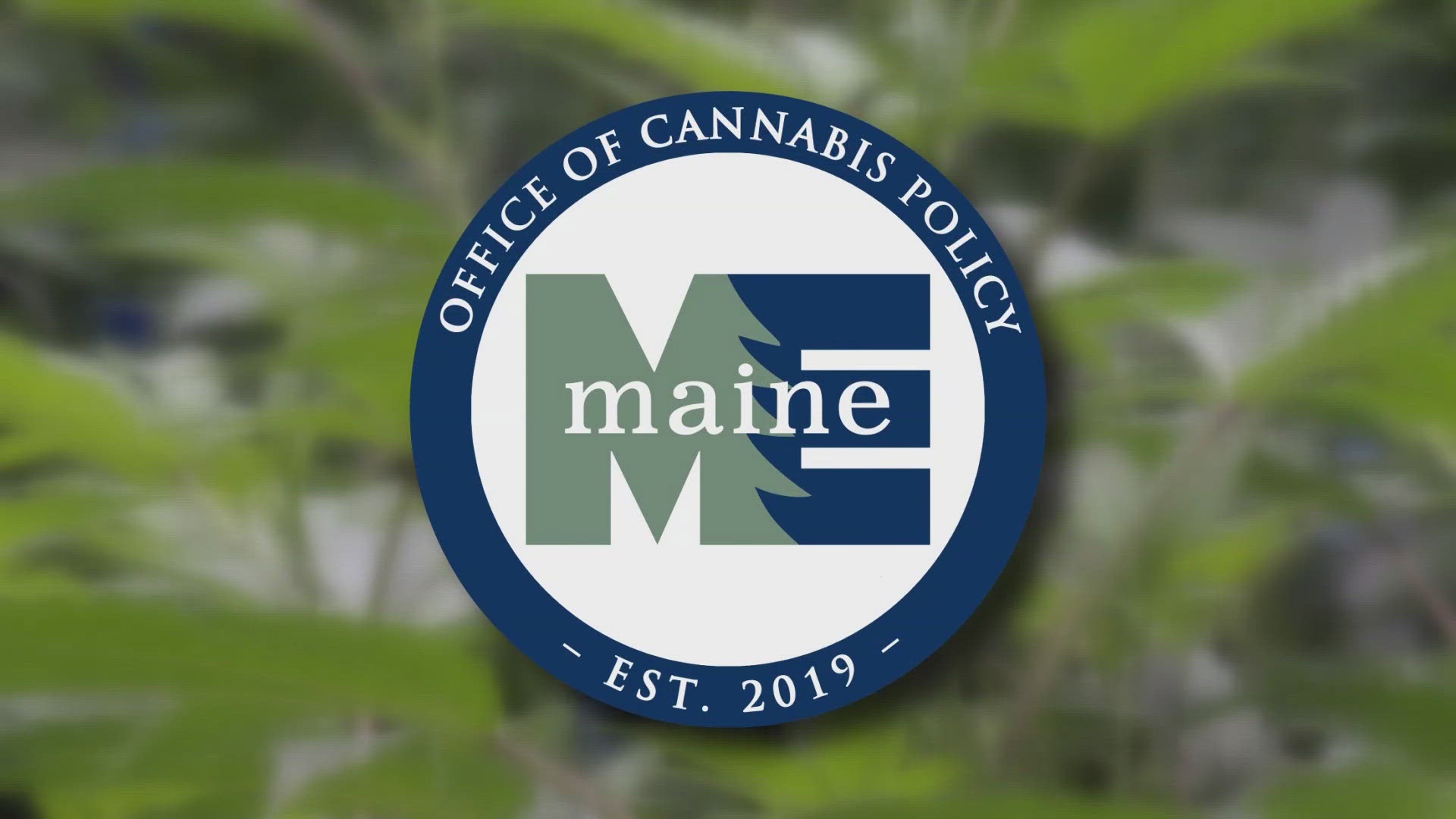 The recall this week was the result of an audit conducted by the Maine Office of Cannabis Policy. All four products recalled were produced by Cannabis Cured.