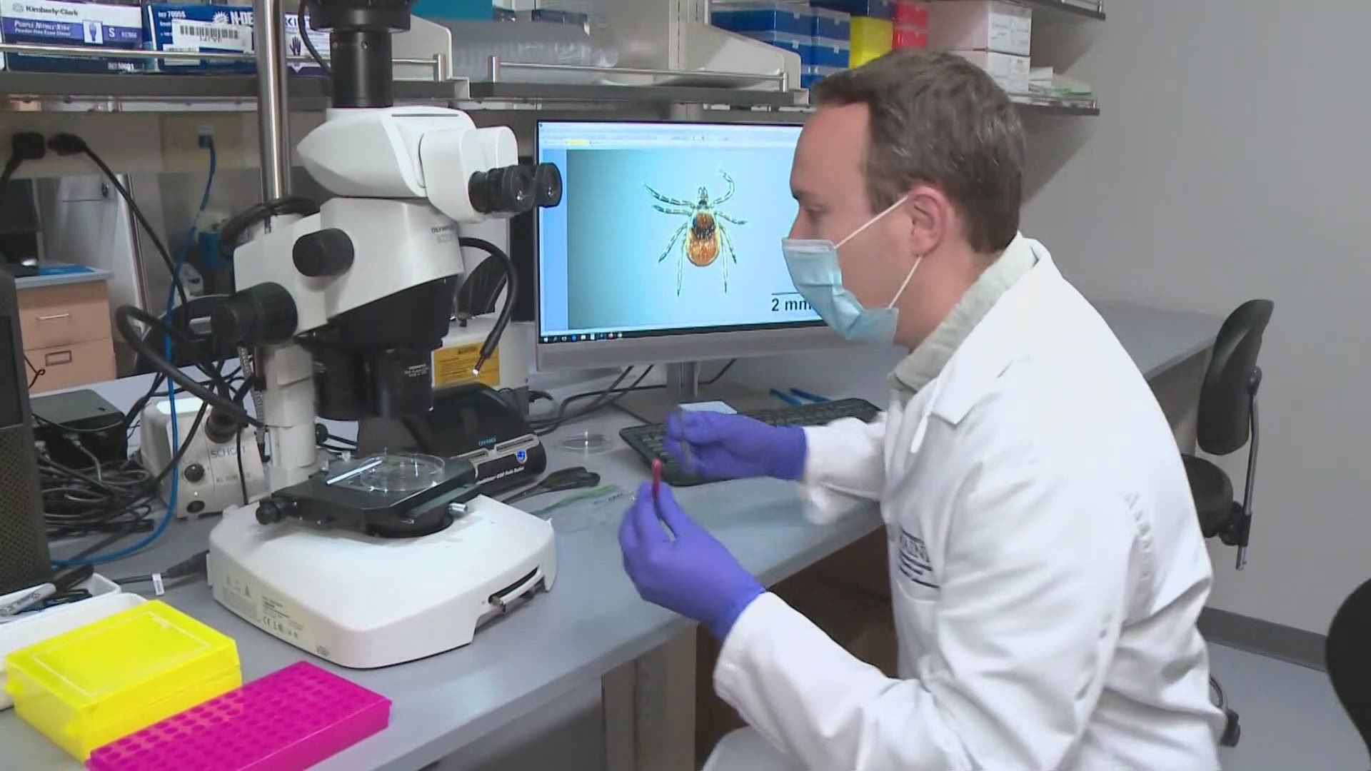 University of Maine Tick Lab researchers are stepping up efforts to track ticks migrating into new areas of the state and learn what conditions allow them to thrive.