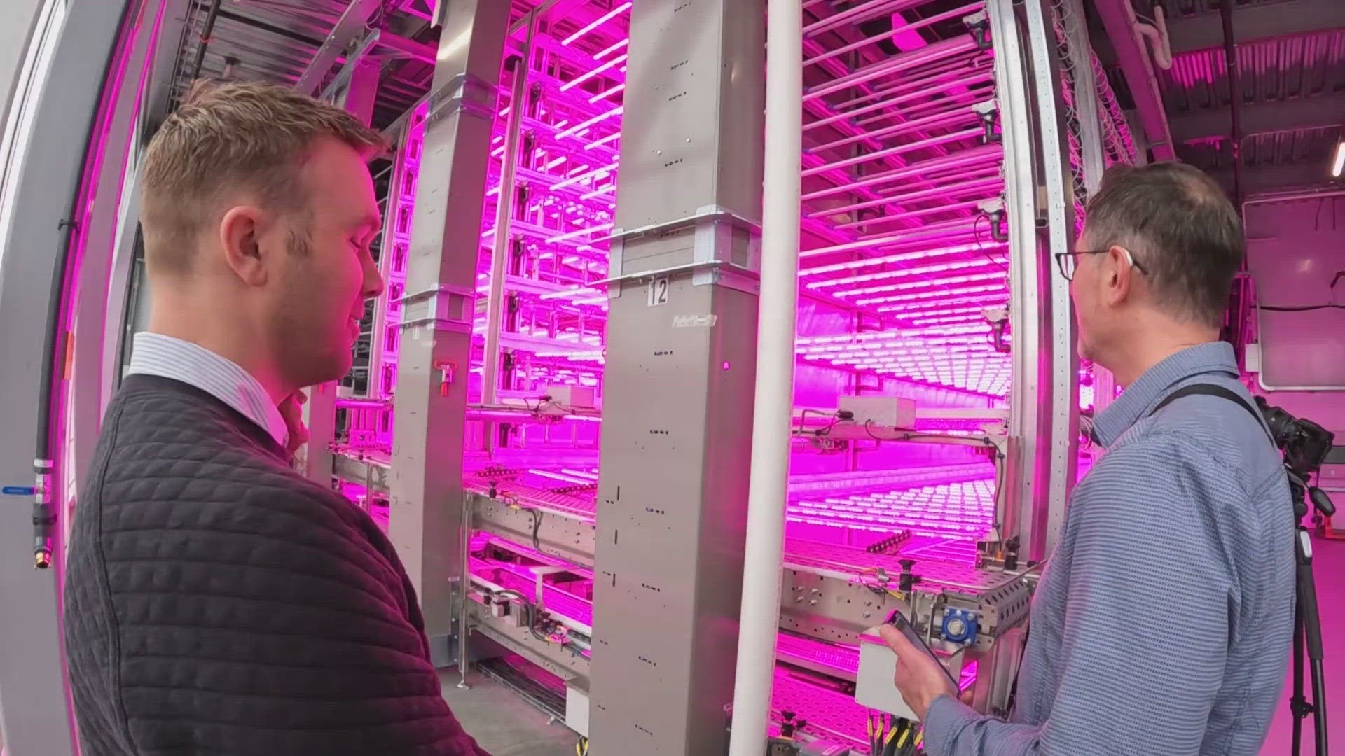 The hydroponic greenhouse is expected to produce 3,000,000 pounds of leafy greens each year.