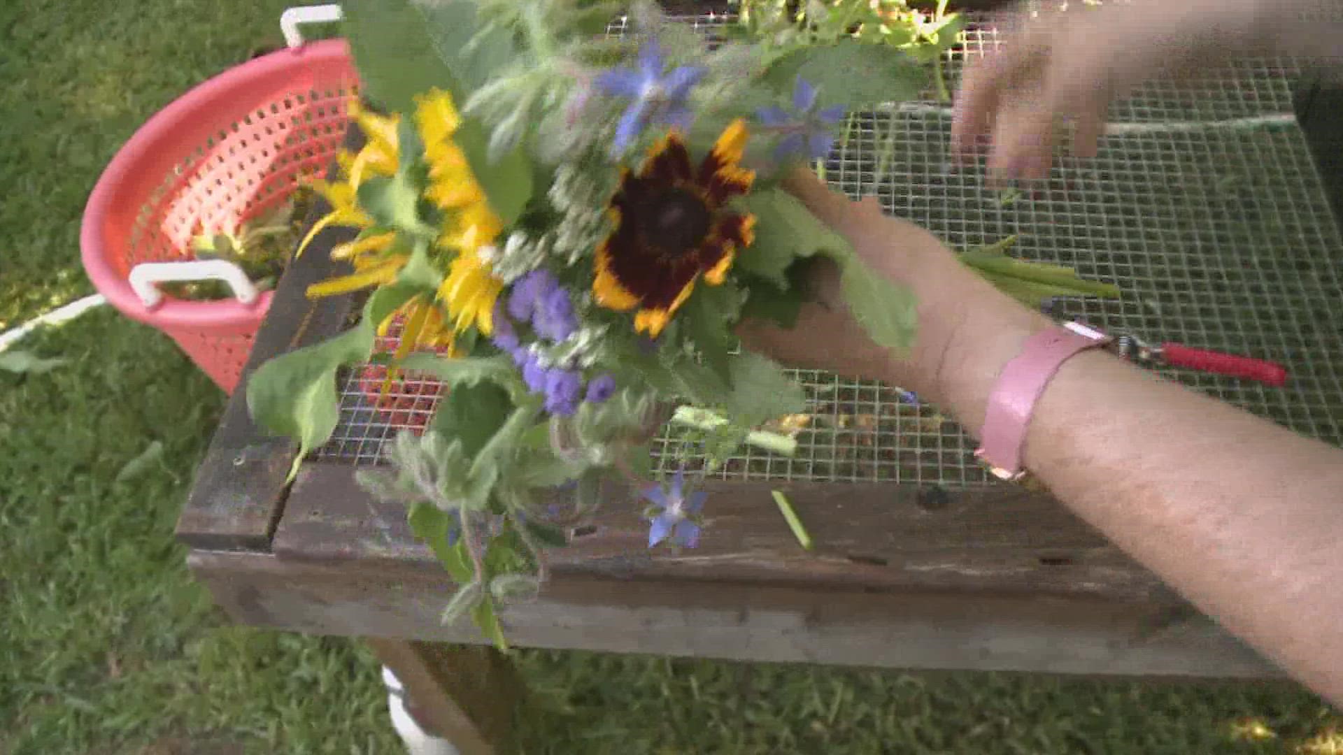Erica Berman owns and runs Veggies to Table in Newcastle. She is spreading hope and joy to community members by giving them flower bouquets from her one-acre farm.