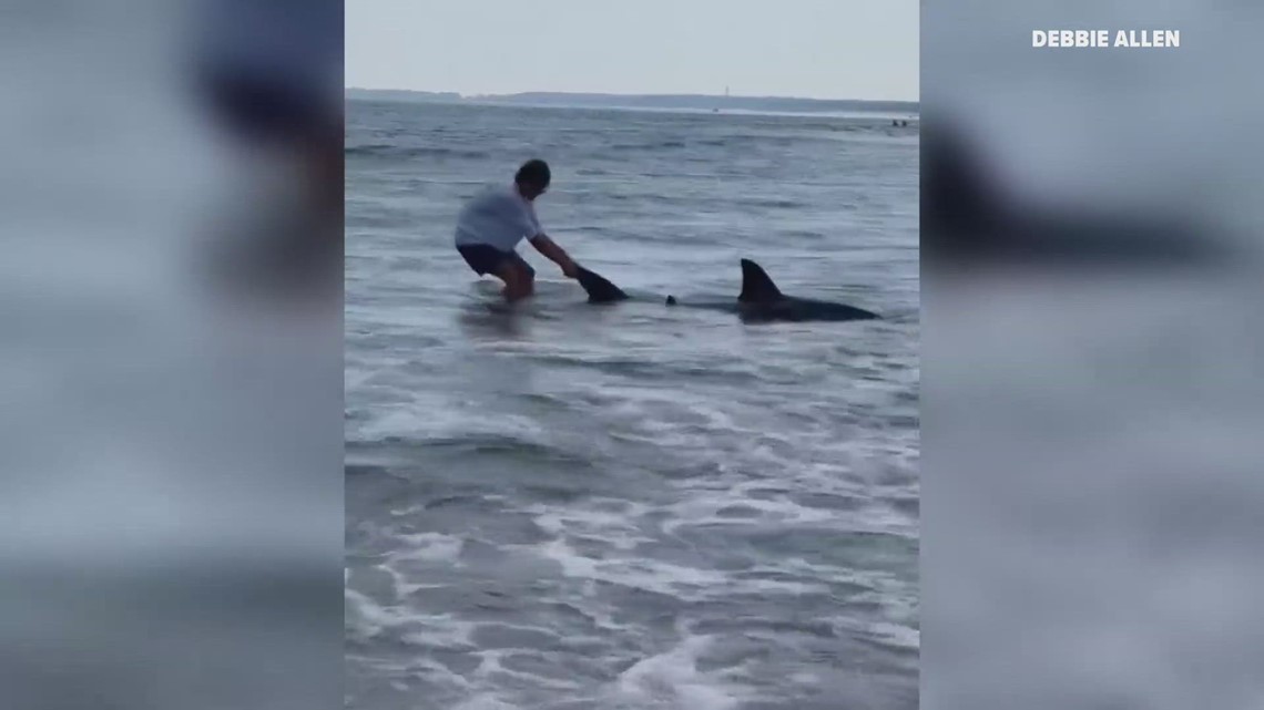 Fisherman seen reeling in shark from Old Orchard Beach, pulling it back ...