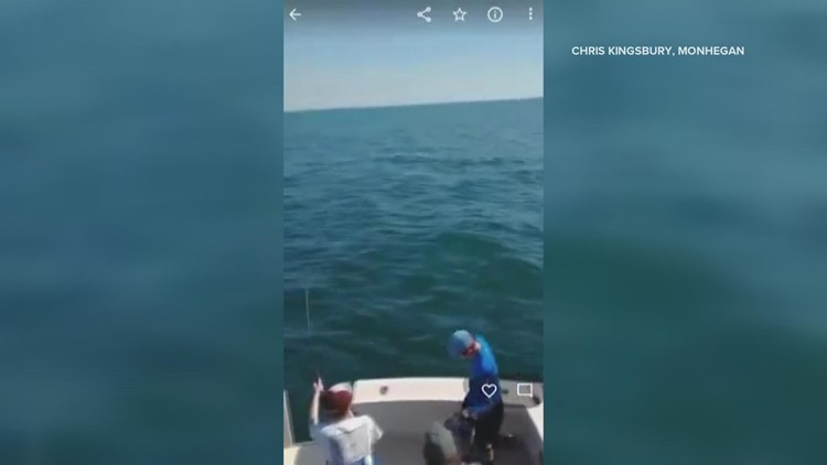 Mako shark jumps onto midcoast fishing boat off Monhegan