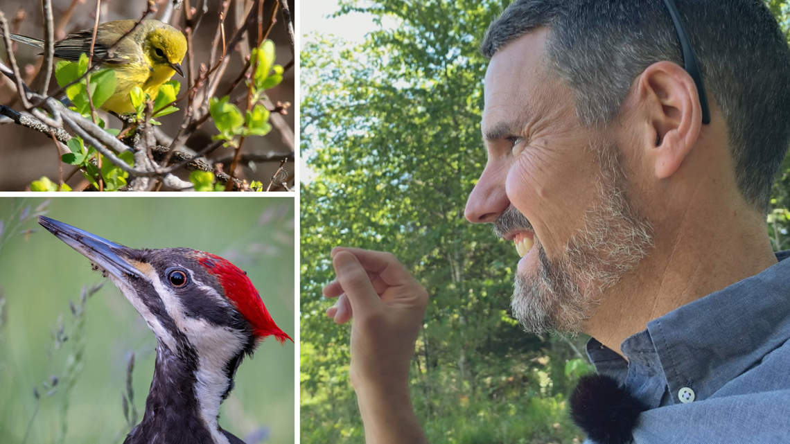 Bird whisperer uses birdsongs to call people back to nature