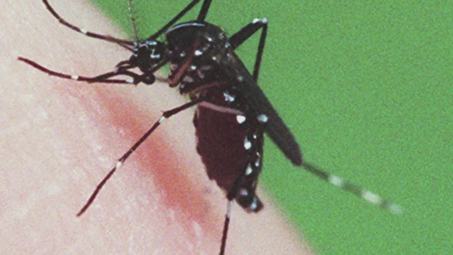 Cases of West Nile Virus and EEE are on the rise along the East Coast, with at least one reported recently as far north as New Hampshire.