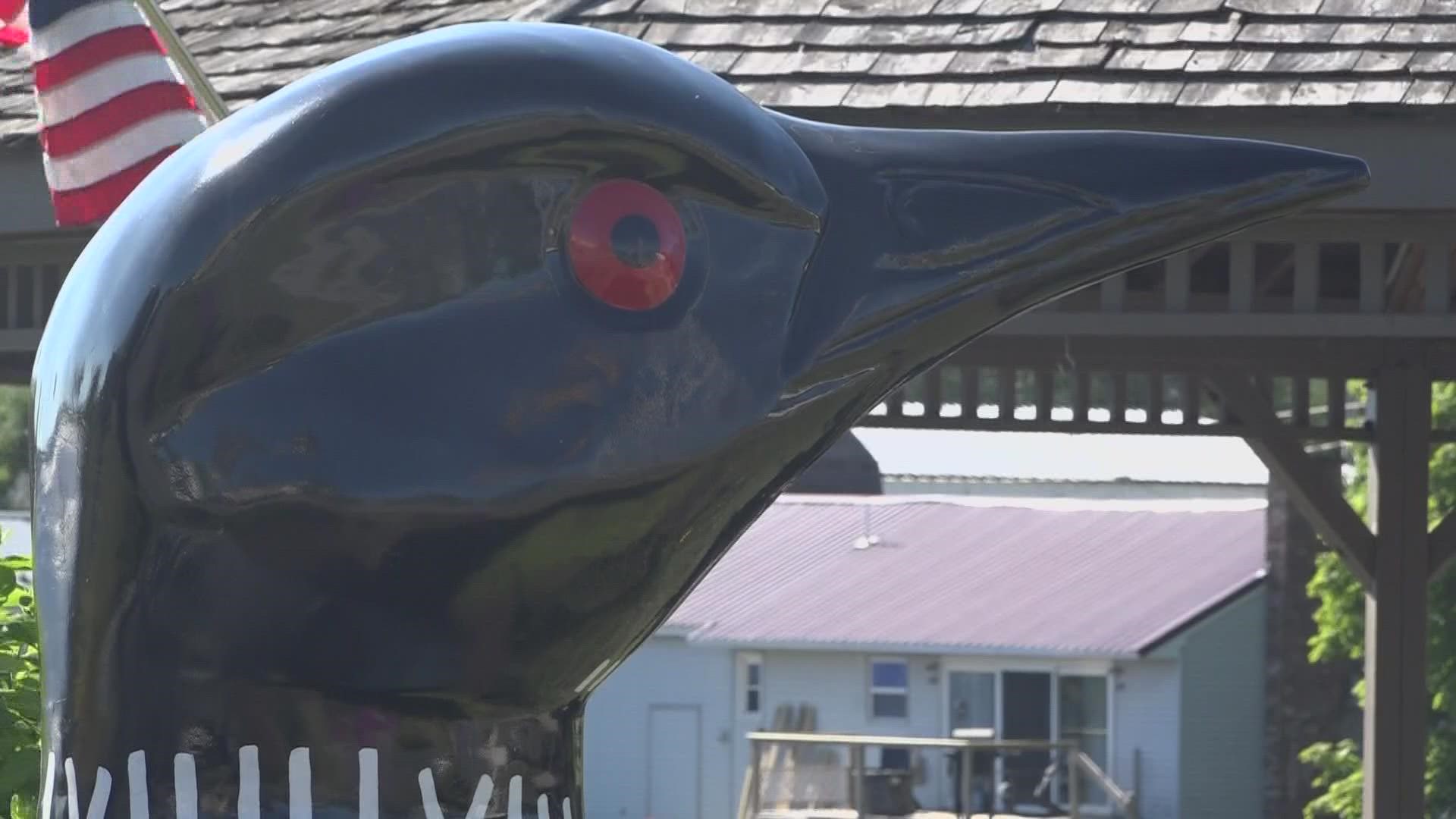 Loon Festival kicks off Thursday morning in Lincoln, Maine