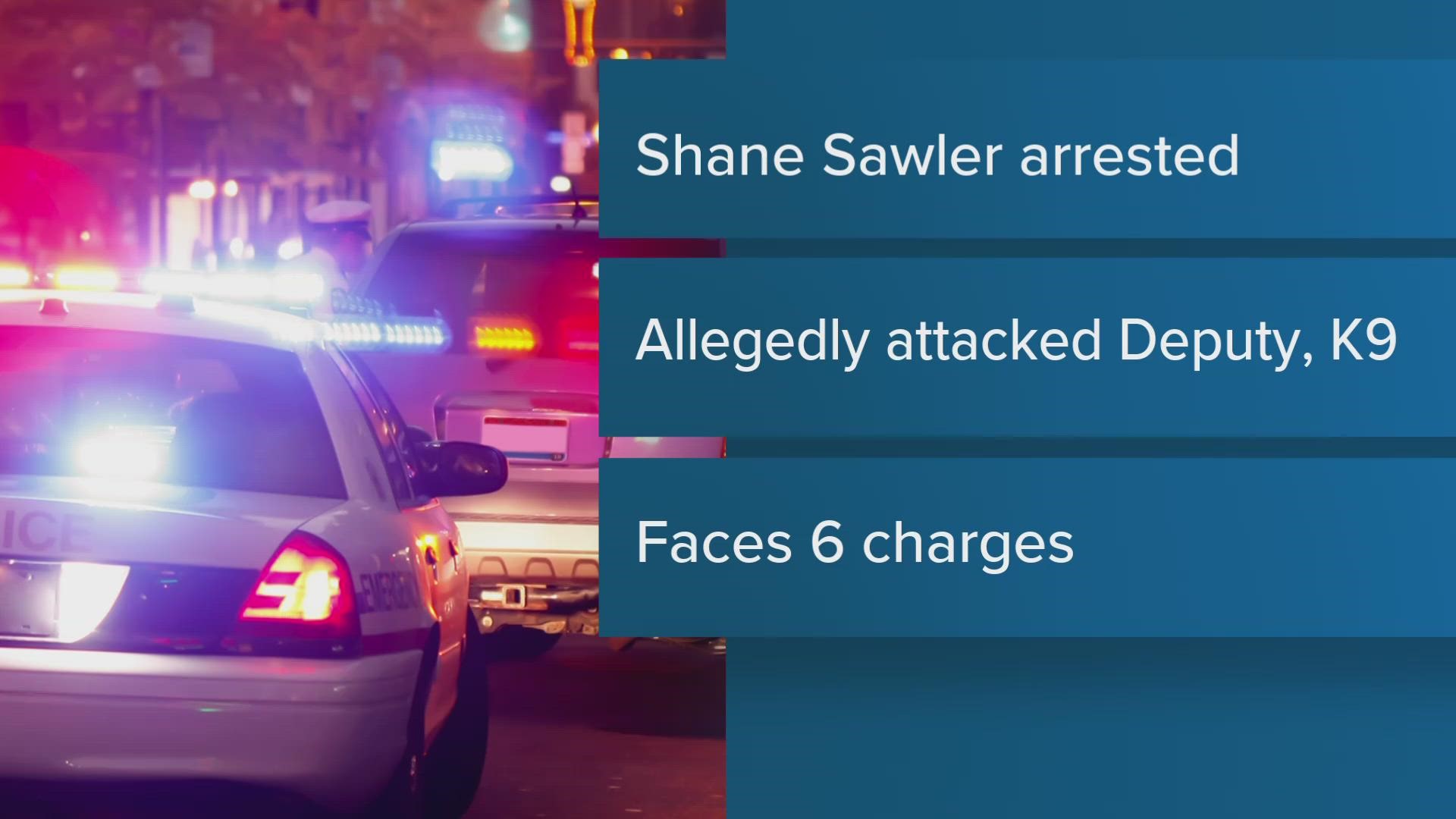 Shane Sawler, 46, is accused of attempting to hit the deputy and slamming the police dog to the ground. Sawler and the deputy were evaluated by medical officials.