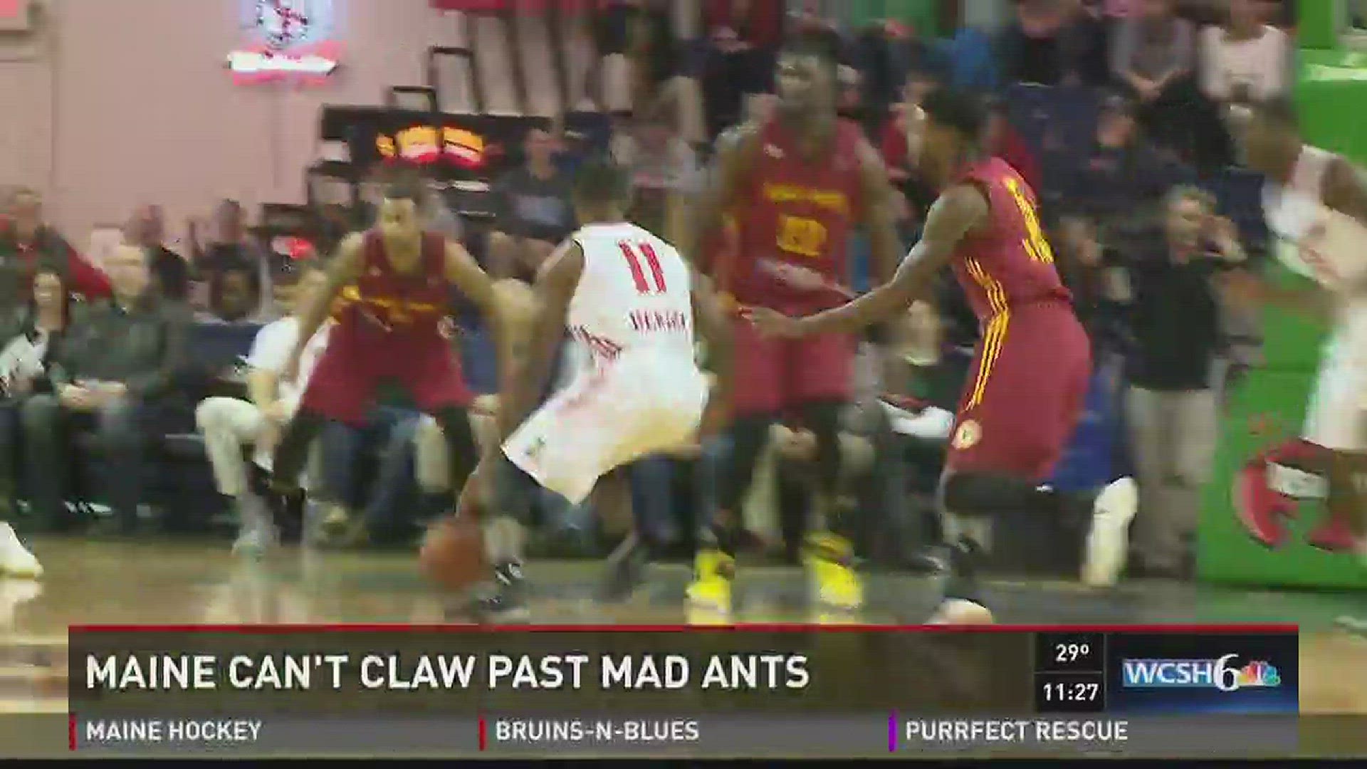 Maine can't claw past Mad Ants