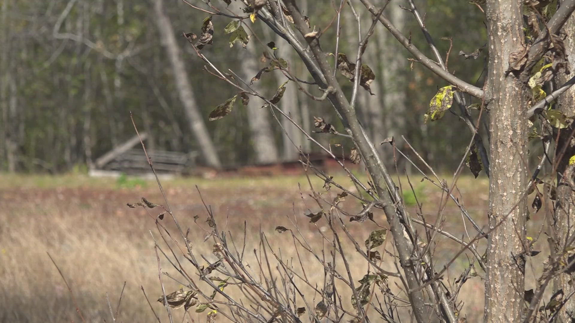 Jay police and Maine State Police are leading the investigation after the remains were found over the weekend.