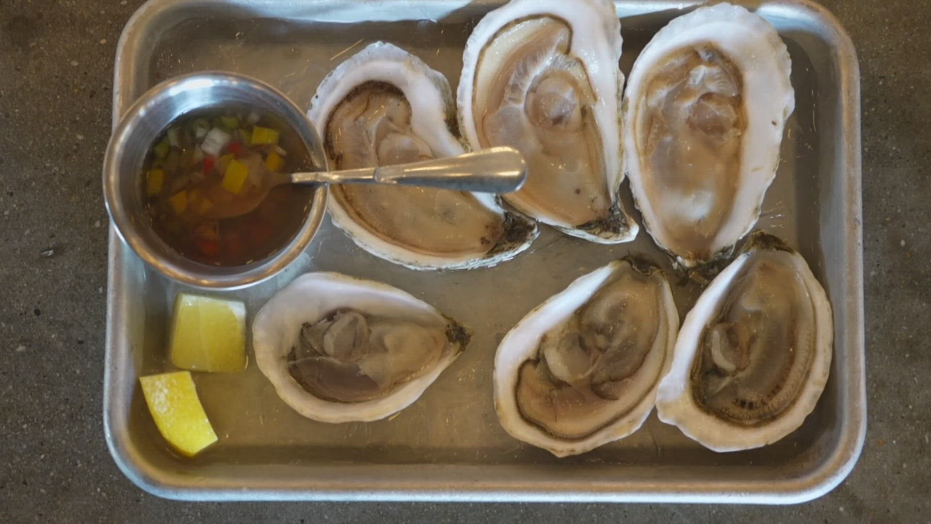 While a wide range of species enjoyed positive predictions, the Gulf of Maine Institute report predicted the demand for Maine oysters would grow 50 percent by 2028.