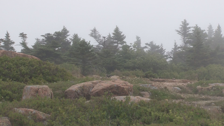 Air quality alert issued from Kittery to Acadia