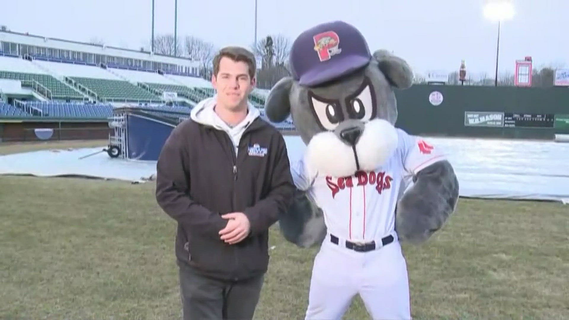 Minor League Baseball's Top 10 Mascots - Portland Sports