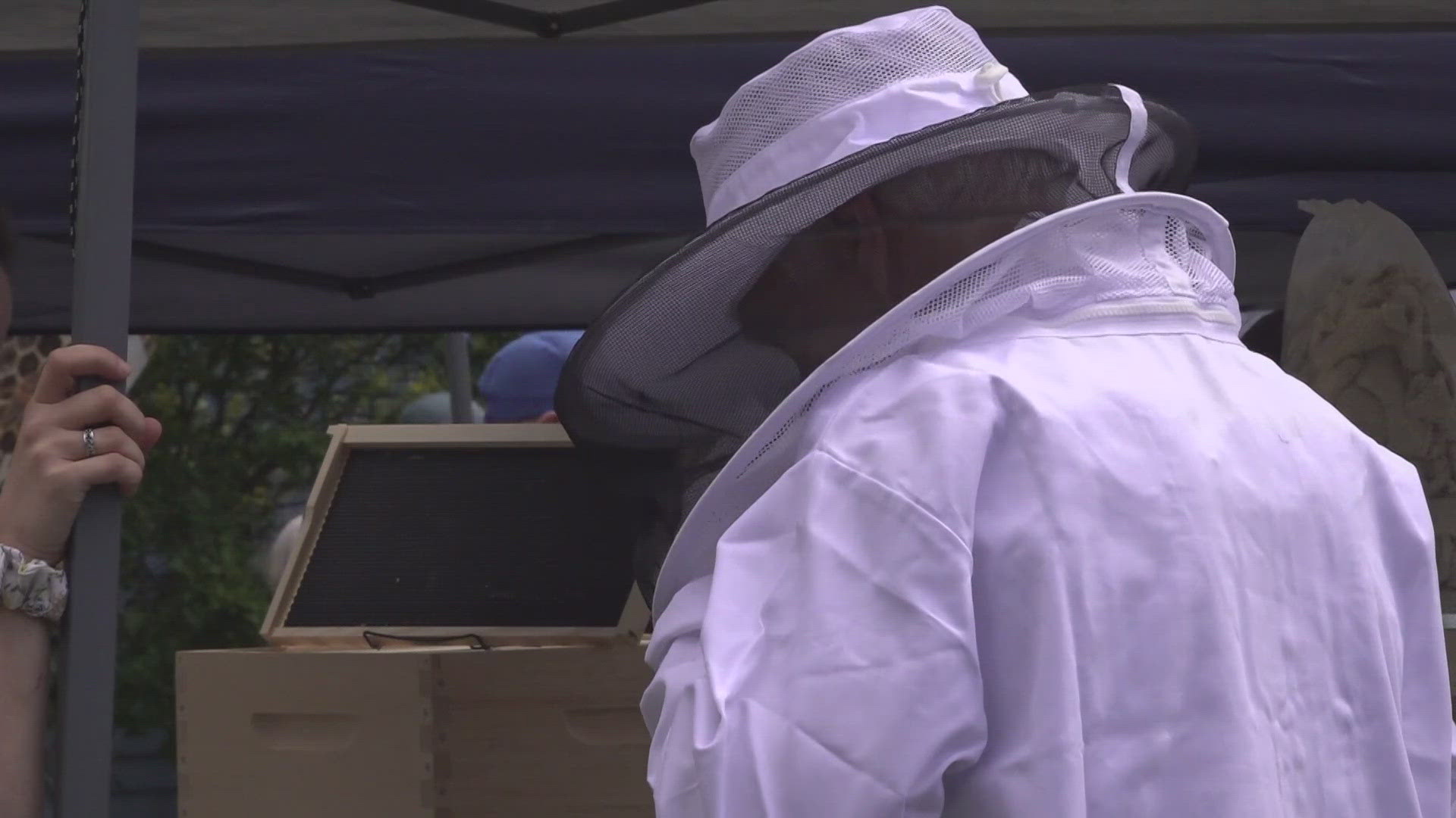 On Sunday in Augusta, beekeepers across Maine made their way to Augusta to share ideas.