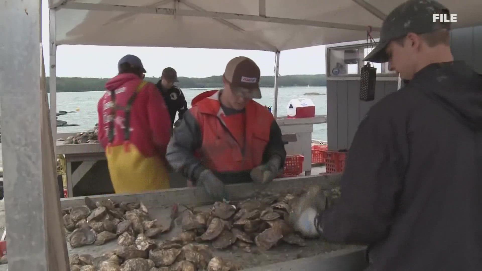 The Maine Aquaculture Association represents 190 commercial farms along the coastline