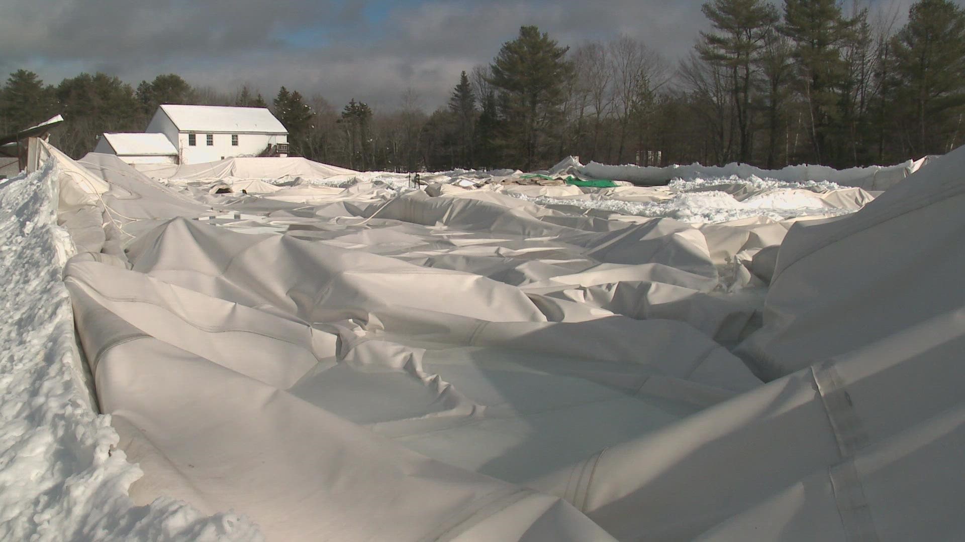 The recent storms dumped a significant volume of heavy and wet snow, causing both domes to collapse under the weight.