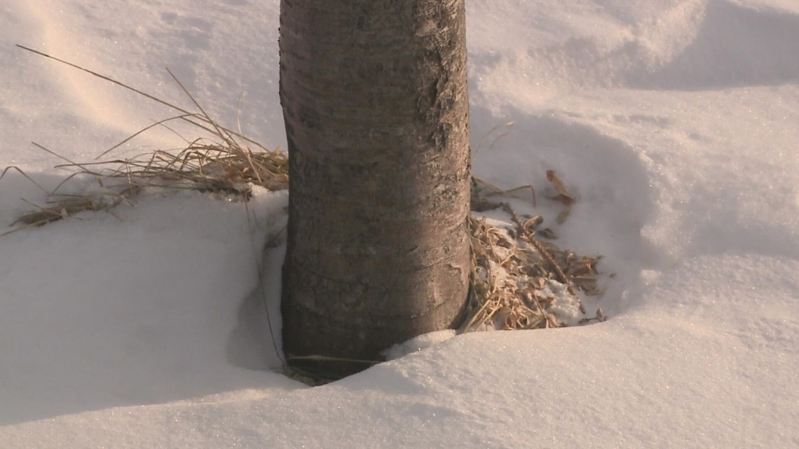 ME needs the snow, and not for skis and sleds | newscentermaine.com - Vimarsana News