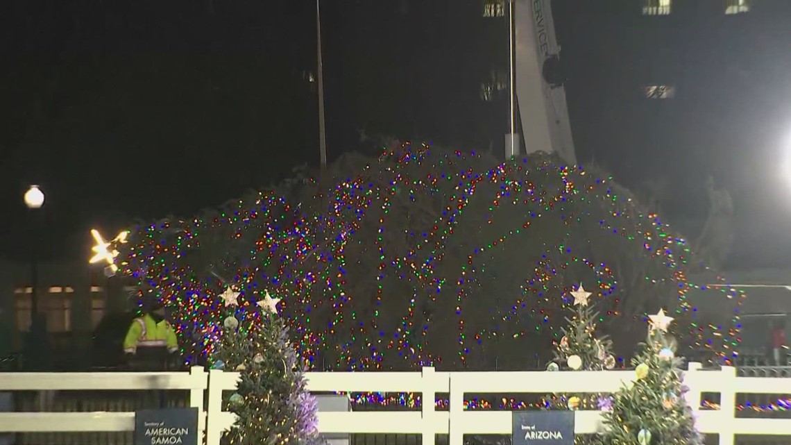 The U.S. Capitol Christmas tree falls ahead of lighting Christmas Tree Falls