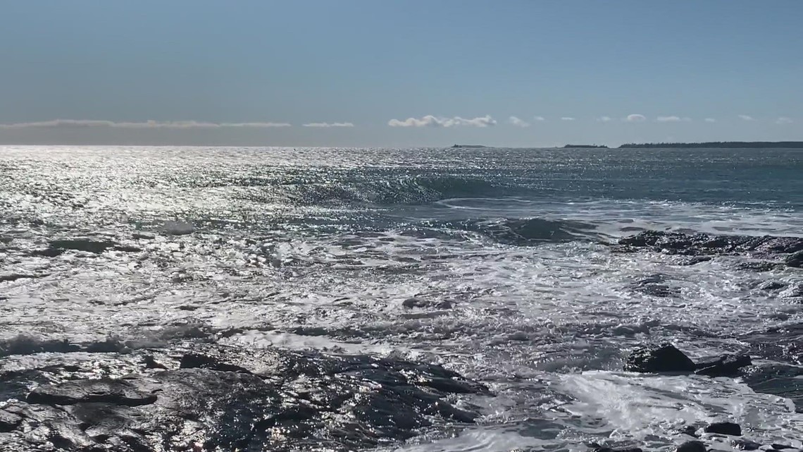 World Oceans Day celebrated in Maine