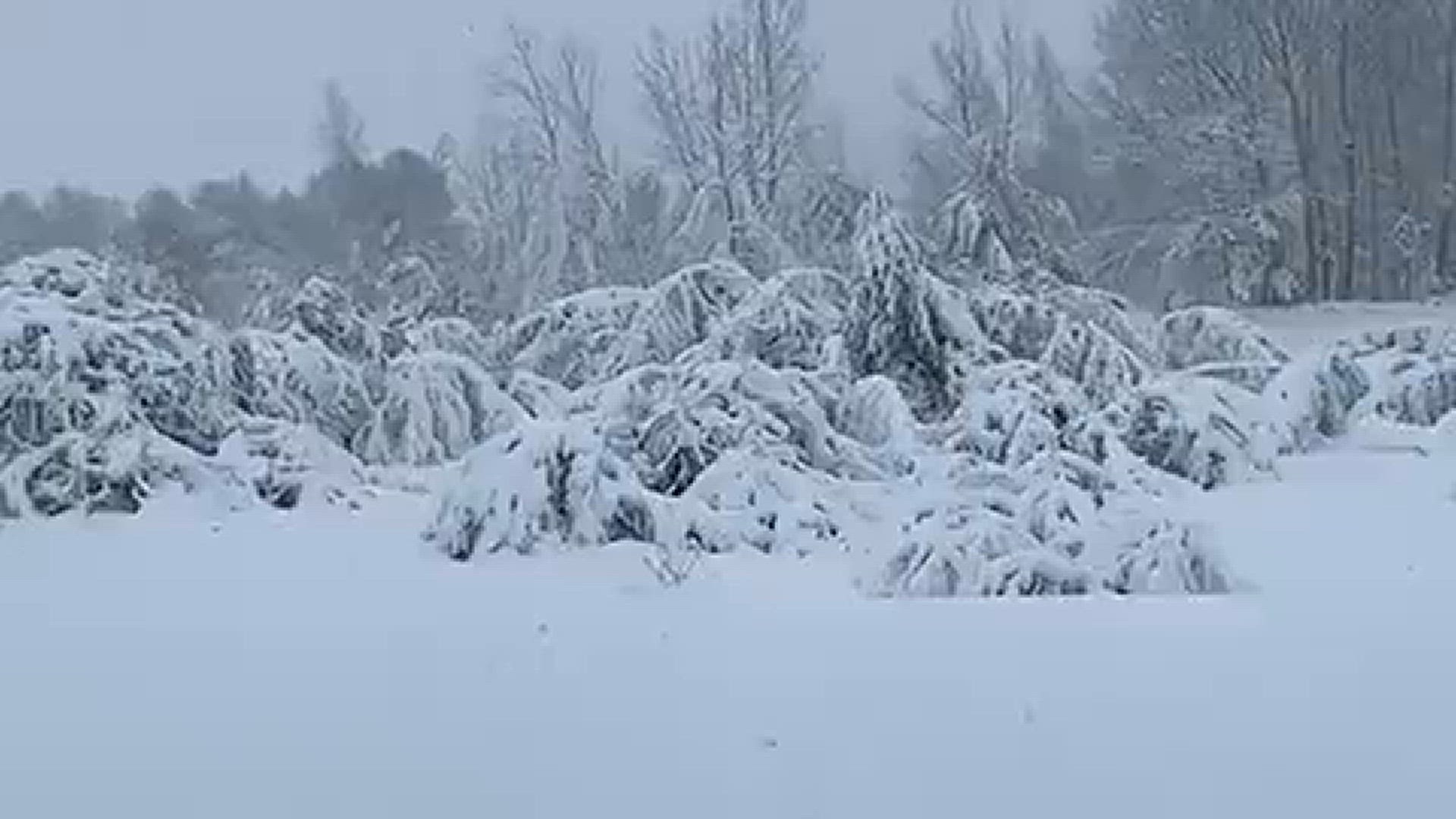 Springtime in Maine | newscentermaine.com