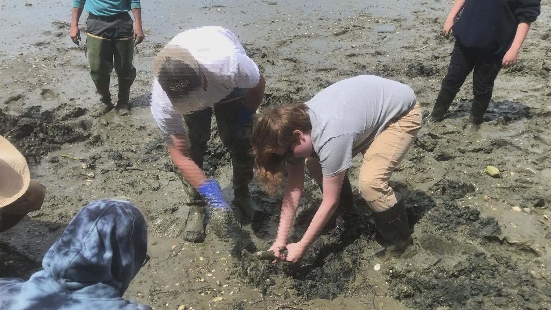 Mt. Ararat students learned about marine resources Monday afternoon in the mudflats of Harpswell.