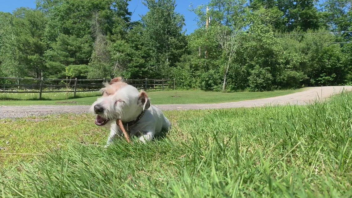 Norridgewock crash kills one, leaves two in hospital