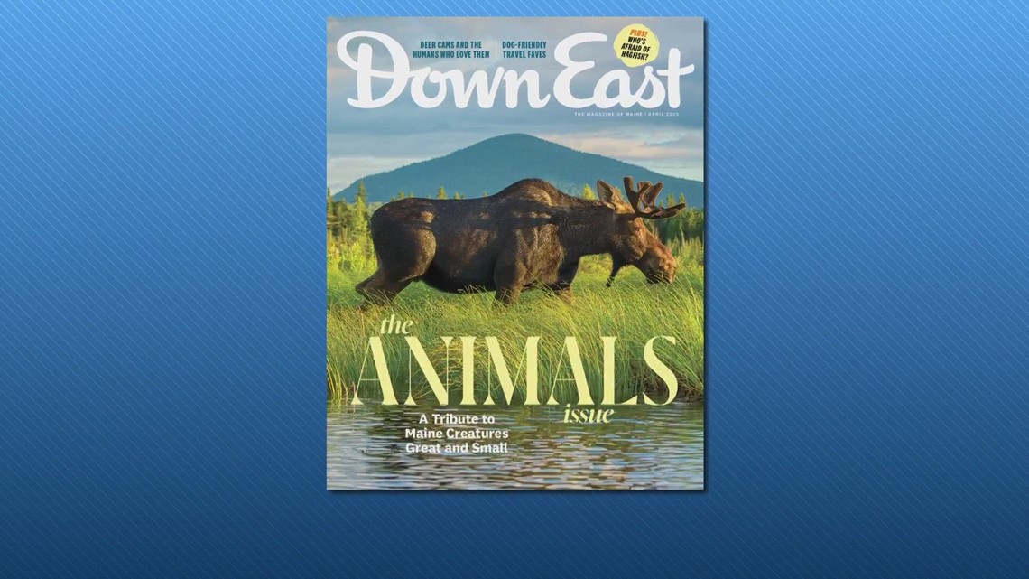 Down East magazine pays tribute to Maine creatures, great and small
