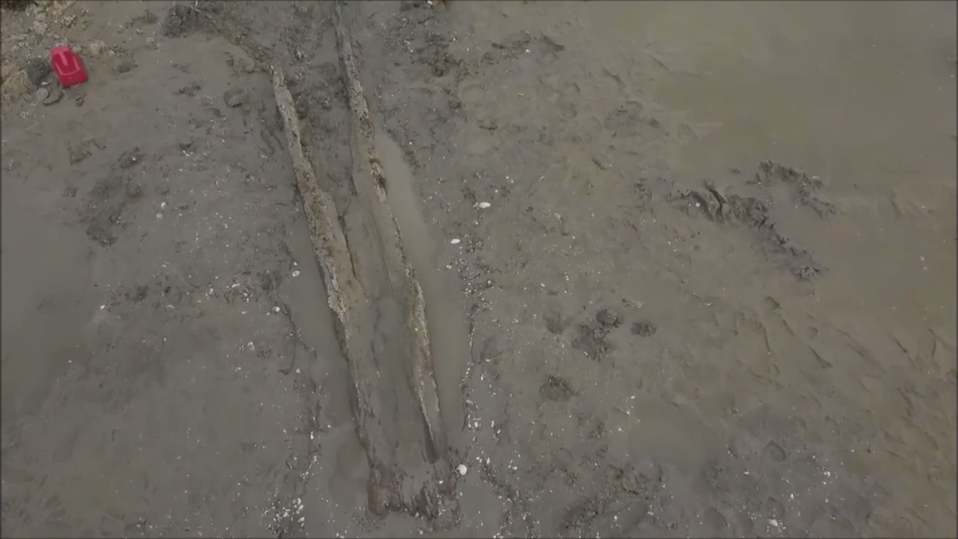 In June 2019, Tim Spahr and other members of Cape Porpoise Archaeological Alliance excavated a 700-year-old dugout canoe found in the mudflats of Cape Porpoise.
