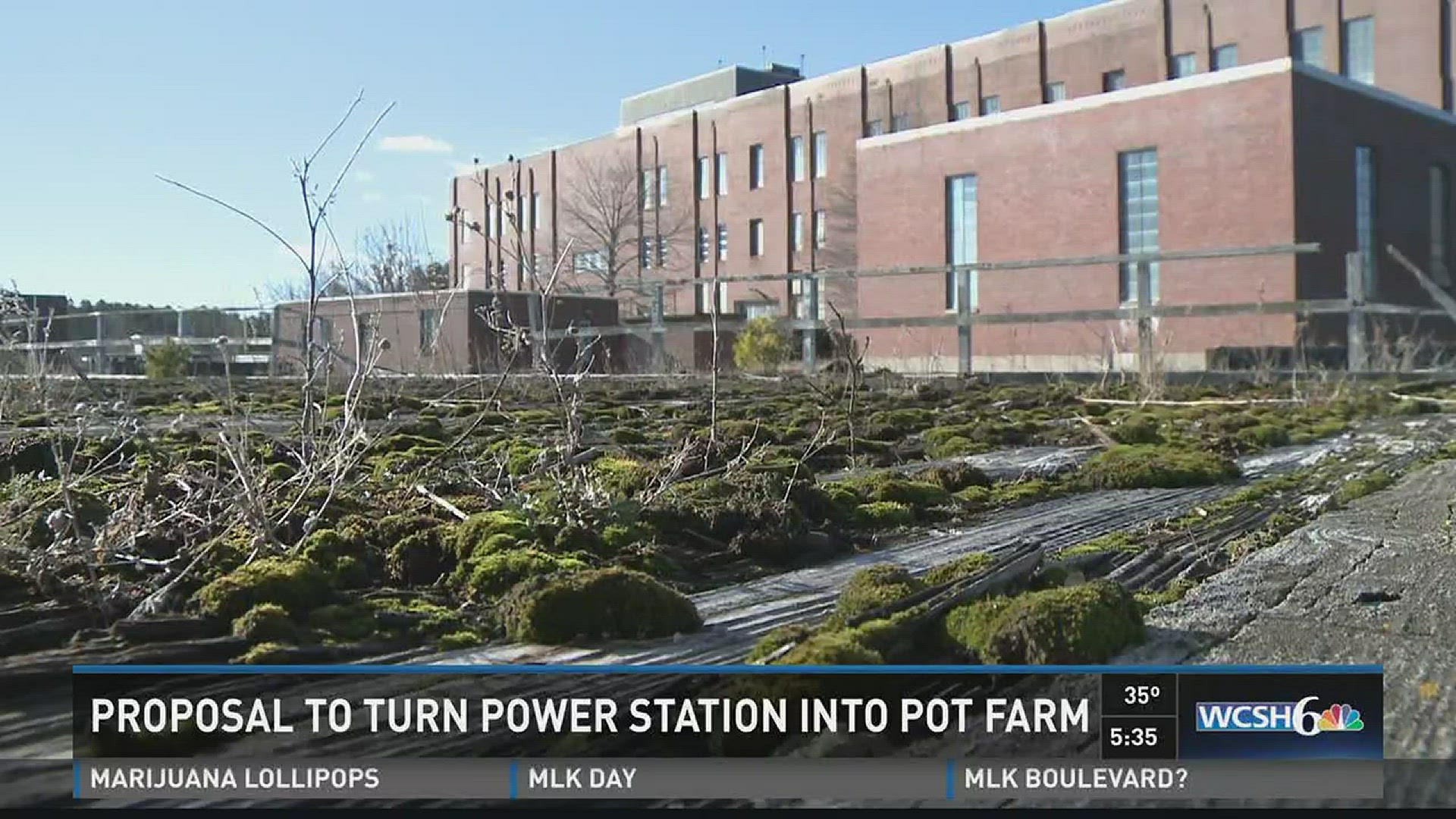 Wiscasset development could become large-scale pot farm.