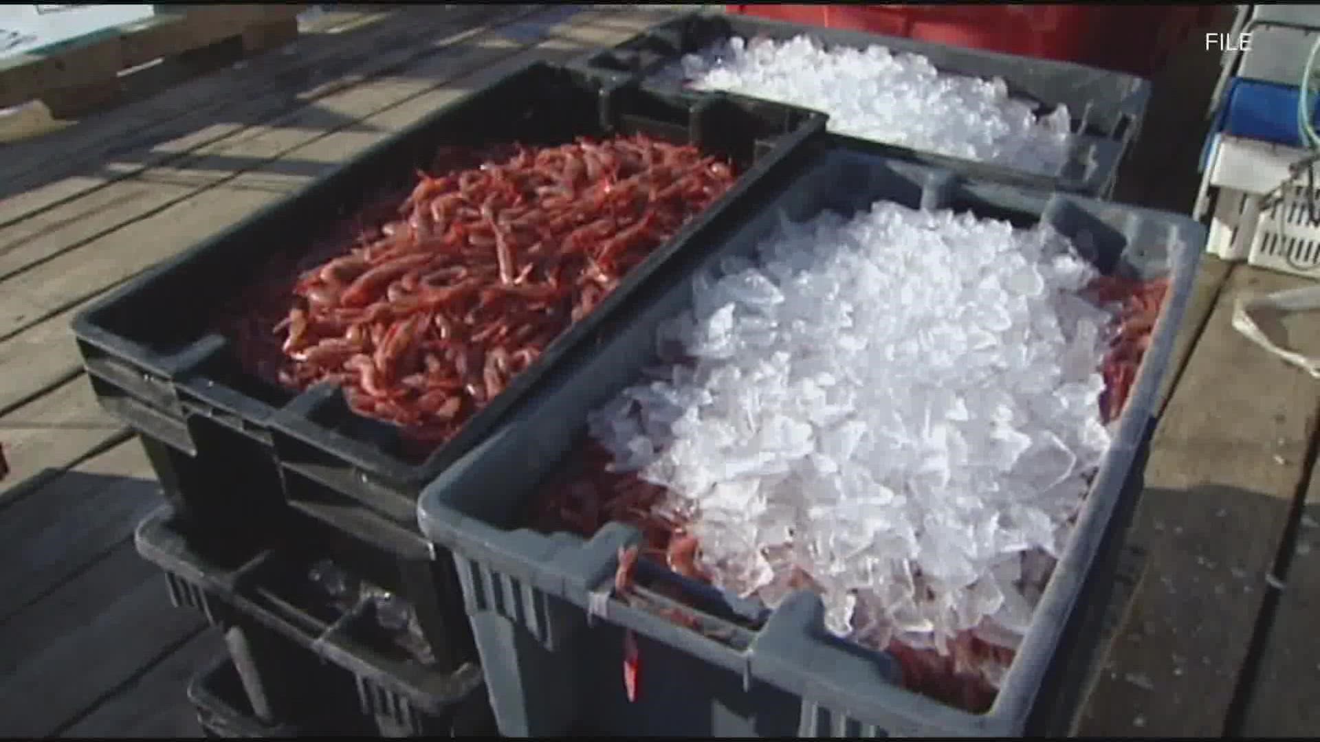 The shrimp fishing industry was mostly based in Maine, and it's been shut down since 2013 due to a collapse in the shrimp population, which has struggled to recover.