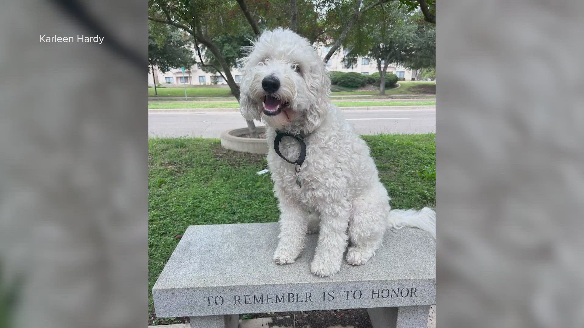 Texas officials say Titan the dog was key to investigating the case of his owner's killing.