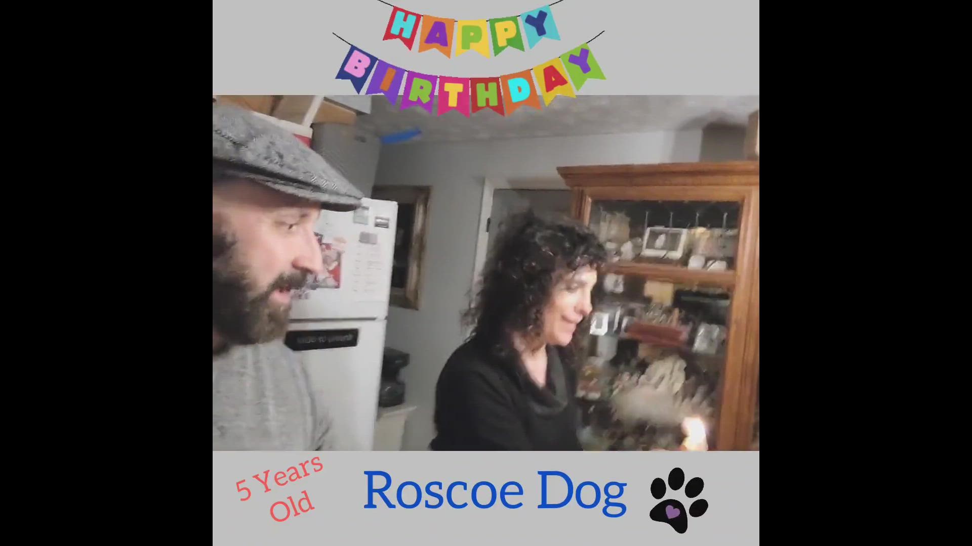 Roscoe Dog Blows out his birthday candle (5 years old)
Credit: Jimmy & Cheryl O'Connor