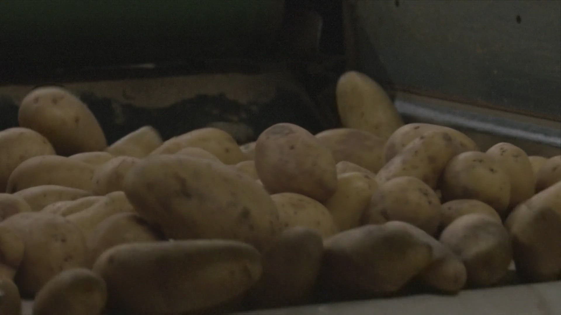 A farmer at the event says he expects his farm to supply 13 tons of potatoes for the Olympics