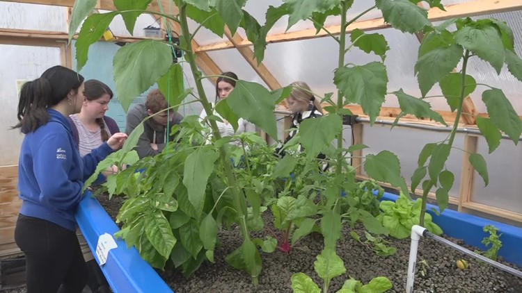 Jonesport teacher shows  students how to grow without soil