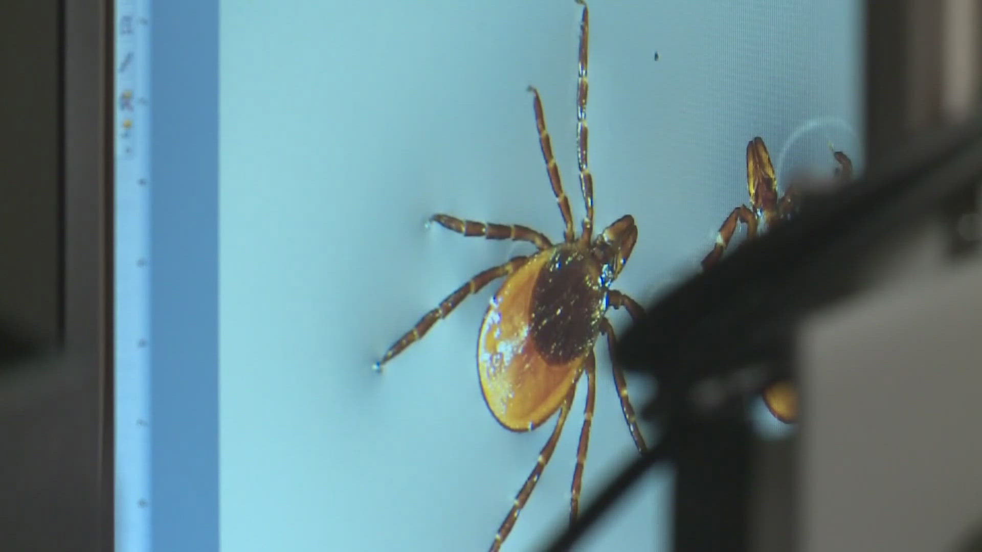 Public health officials say they're seeing more ticks and more cases of tickborne diseases. 