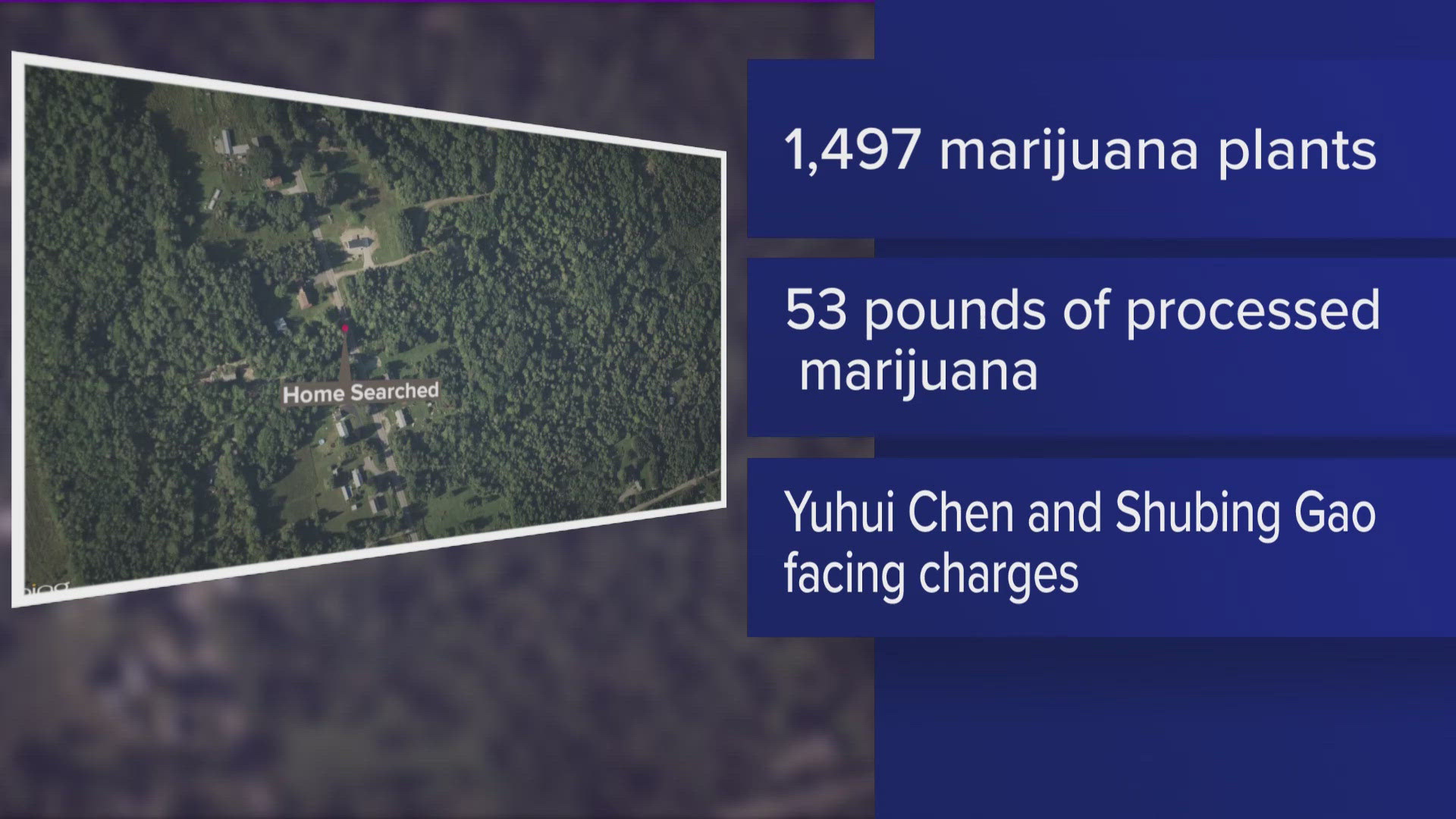 Two people face charges in alleged illegal marijuana growing operation ...