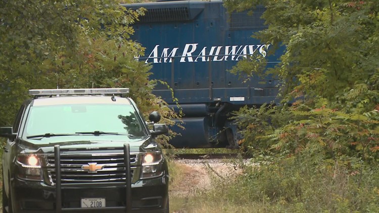 Auburn police respond to train, pedestrian crash