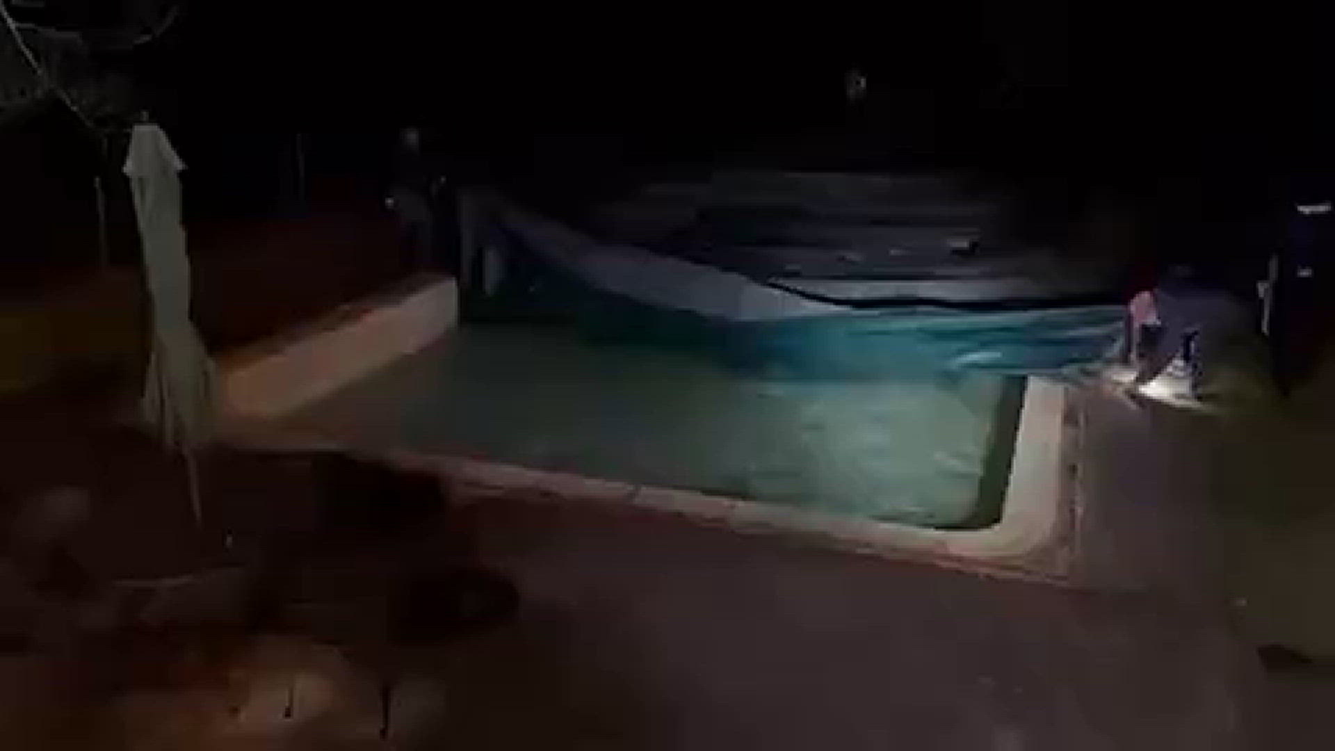 A buck fell through the pool cover and became trapped. A successful rescue!
Credit: Emery