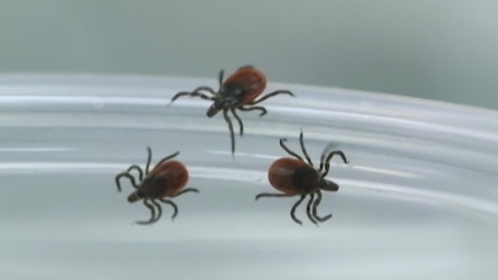 Pfizer and researchers at Virginia Commonwealth University are developing a shot against Lyme disease.