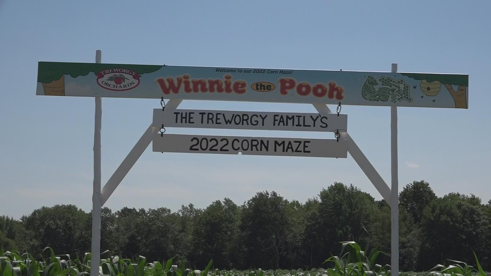 The corn maze opened for the season Saturday with this year's design inspired by A. A. Milne's book, "Winnie the Pooh."