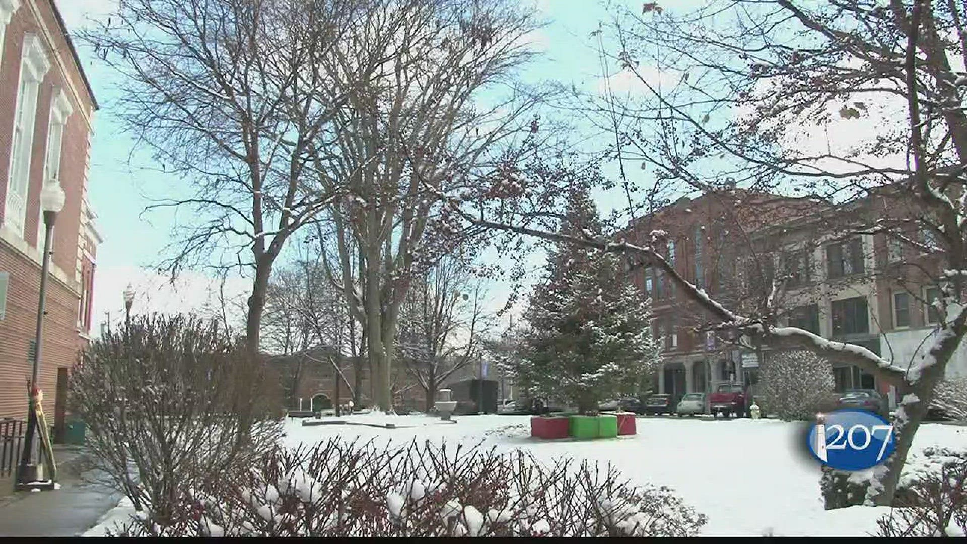 'Ellie' is the last surviving giant elm tree Waterville has and they're making sure she'll be around for another 150 years.