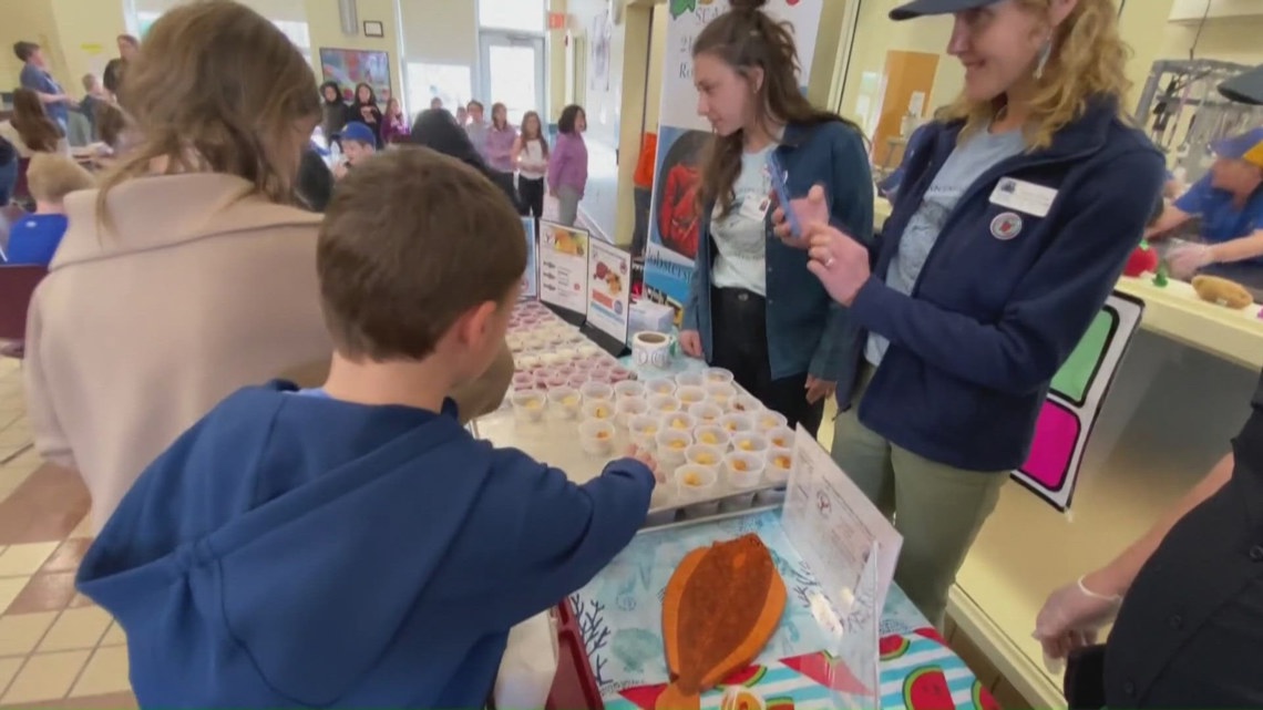 Local fishermen work to add Maine-caught fish into school lunch programs