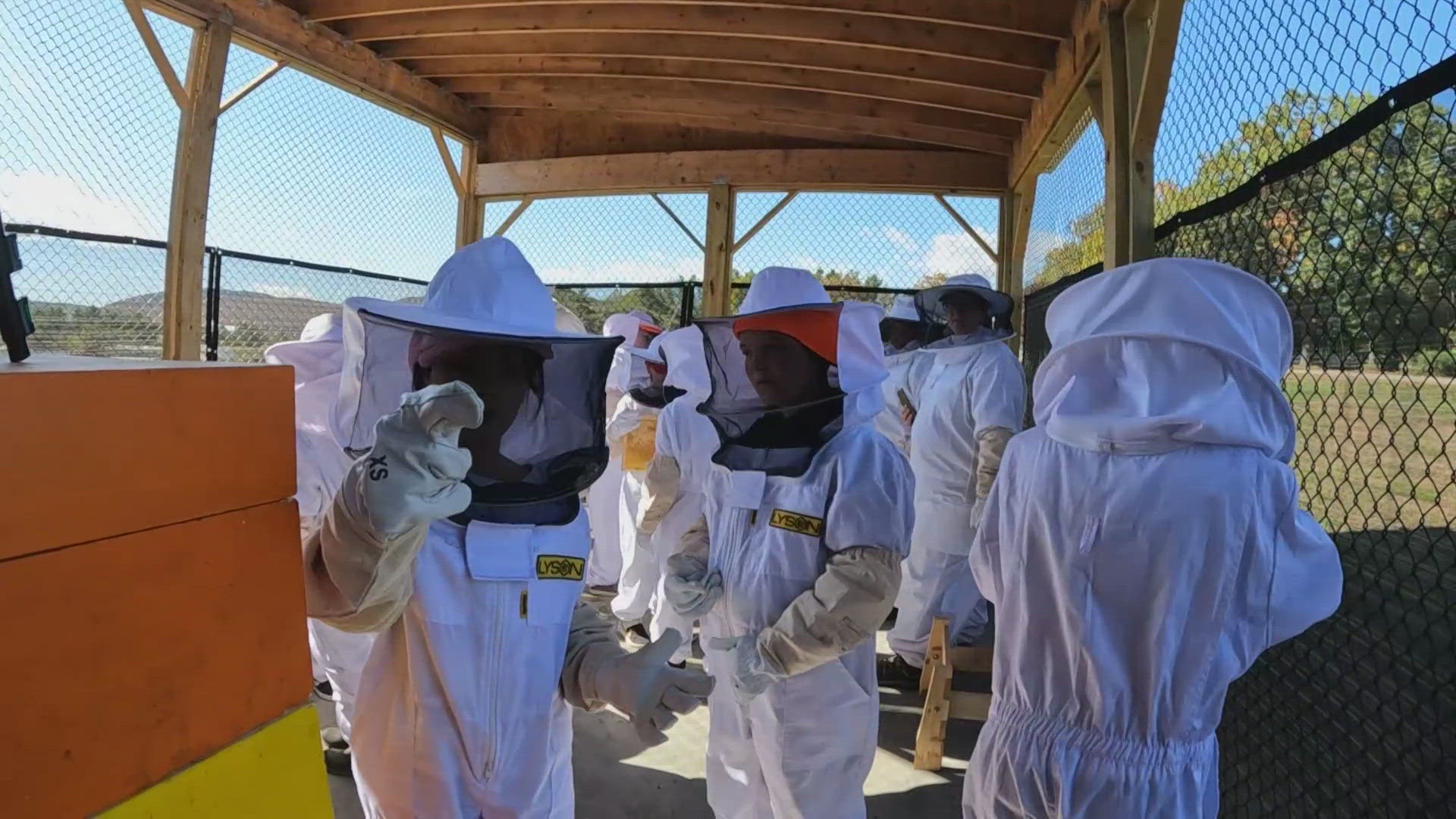 Maggie Corlett considered leaving teaching to become a beekeeper. Now, she shares her passion with hundreds of students at their on-site apiary at Meroby Elementary.