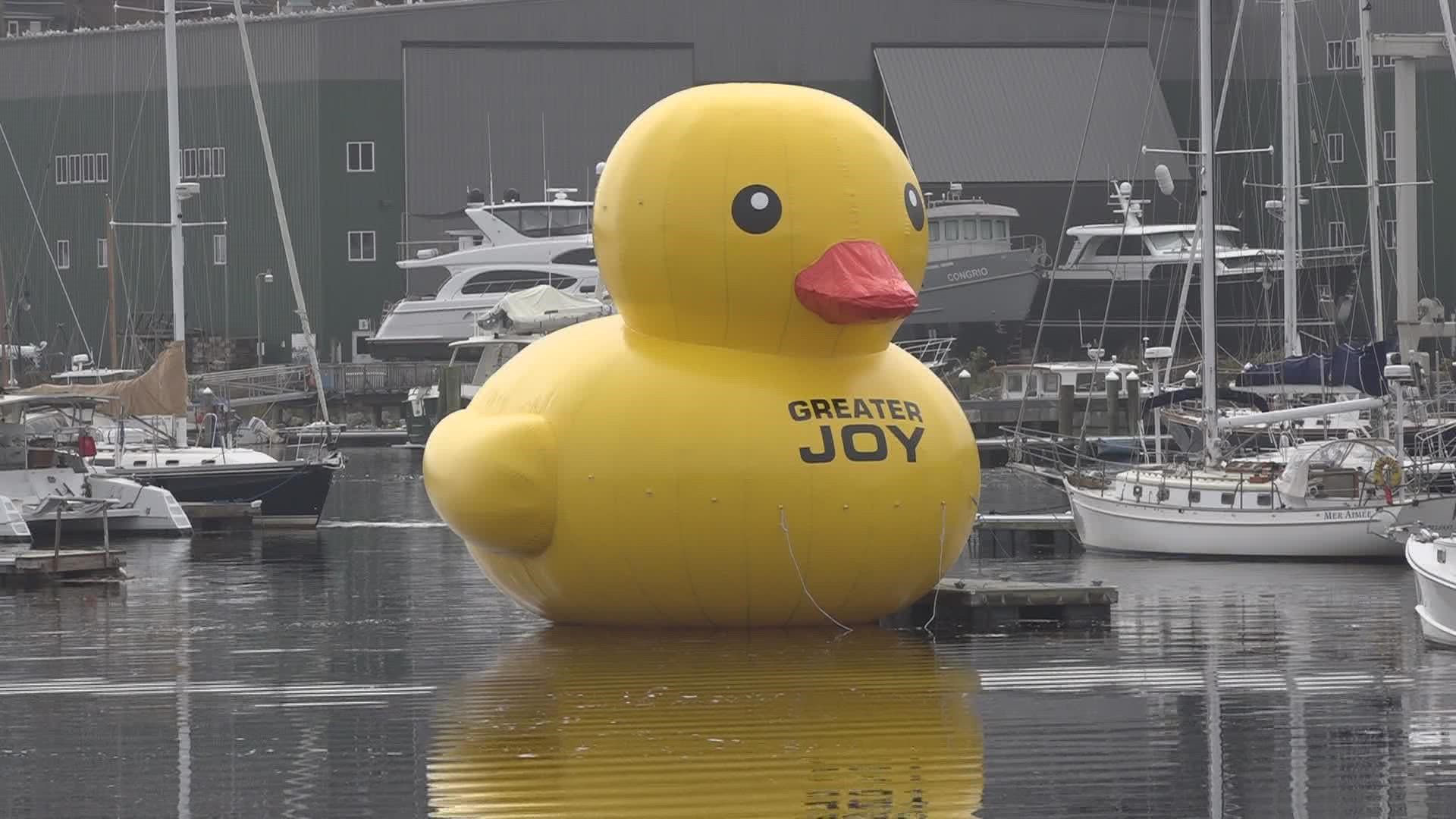 The massive inflatable duck is once again floating in the harbor, but with a new message.