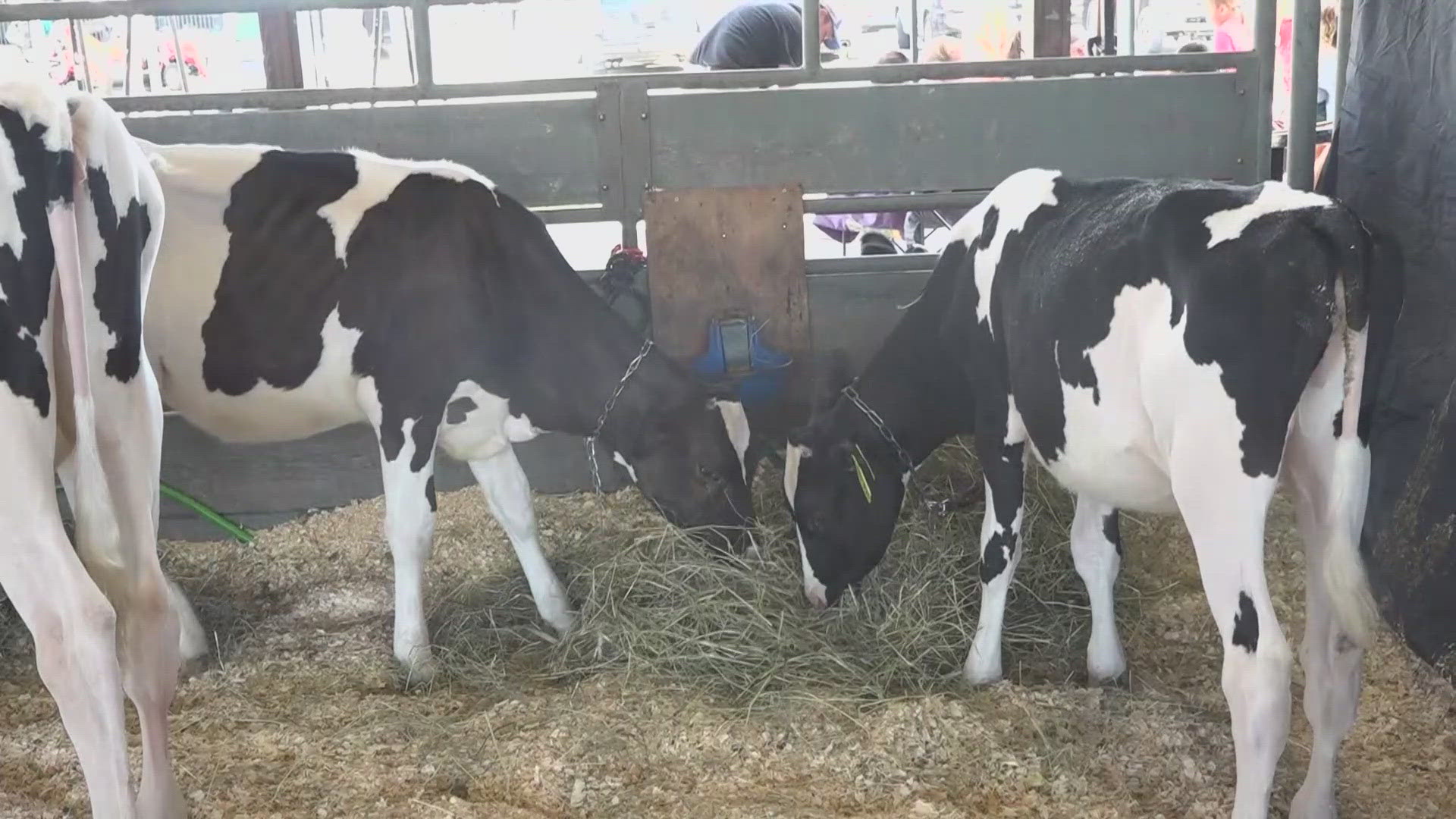 Fair organizers say its the oldest continuously-running agricultural fair in the country.