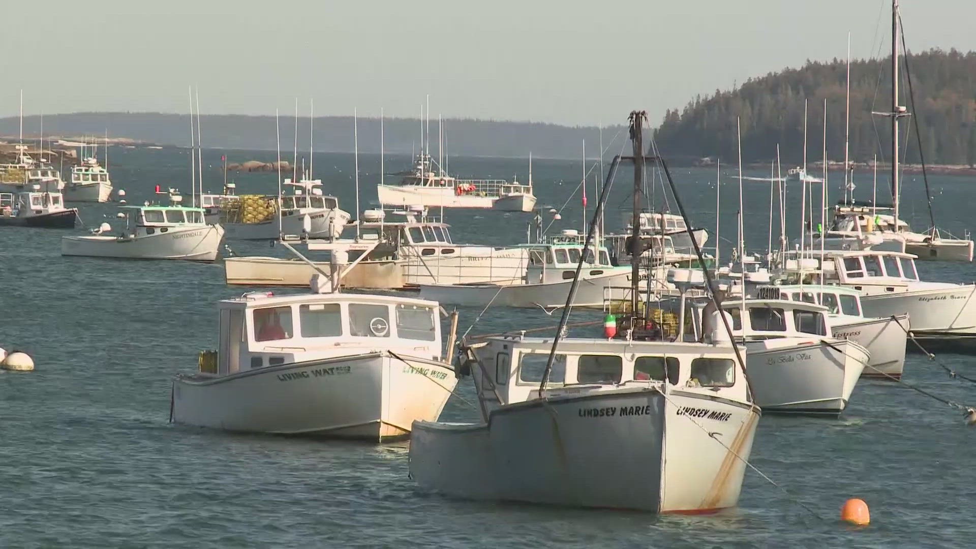 The Marine Resources Commissioner says the low price of lobster and high fuel costs contributed to low catch numbers.