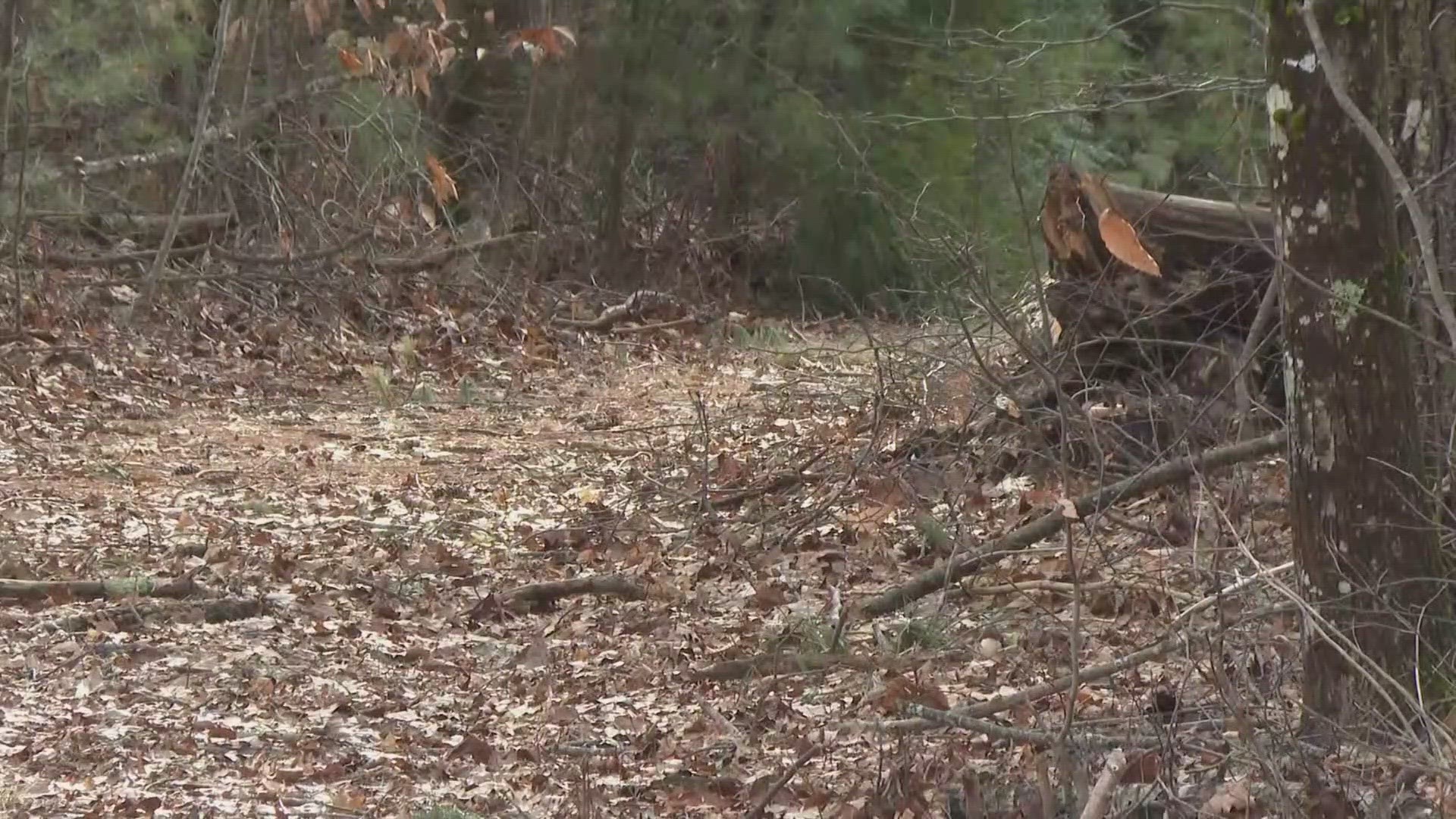 If driven on too early, the trails can become damaged due to mud after the snow has melted.