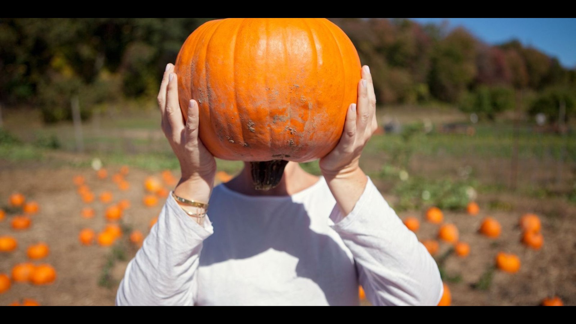 This Fall, Pumpkin Spice Lattes Get Competition From Starbucks' and  Dunkin's Apple Drinks - Eater