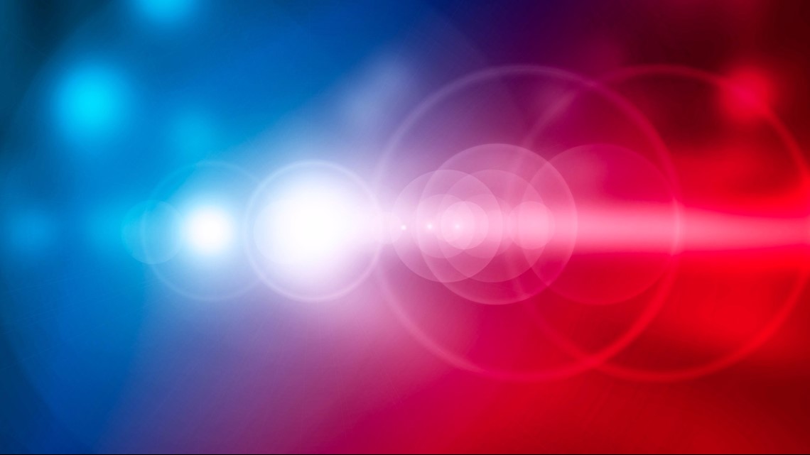 Owner's body recovered after dog found swimming alone in NH - Vimarsana News