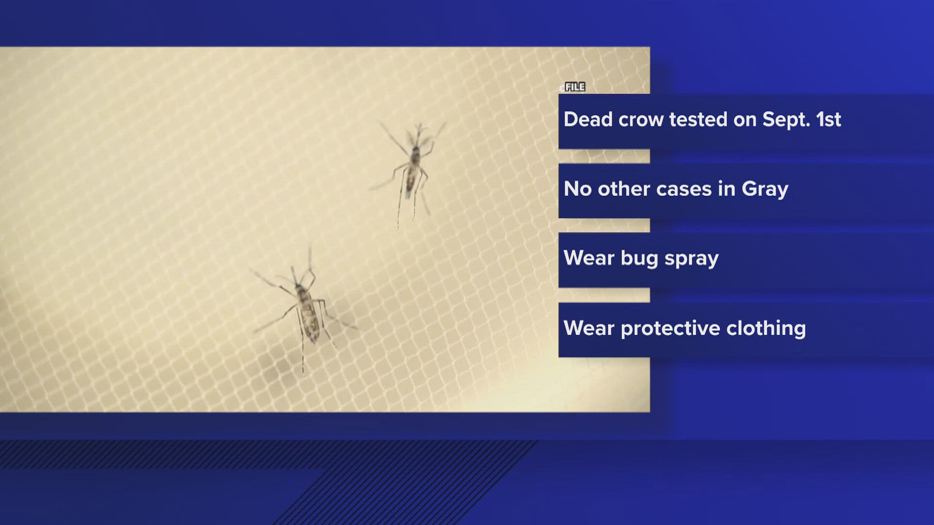 Maine Center for Disease Control and Prevention officials say the crow was tested for the mosquito-borne illness on Sept. 1. They believe it's an isolated incident.