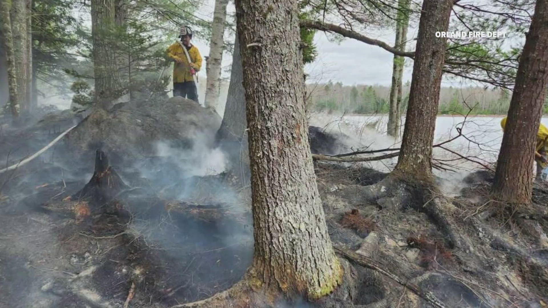 Officials say the forest fire happened shortly after 9 a.m. in the area of Bucksport Way out on Thurston Pond.